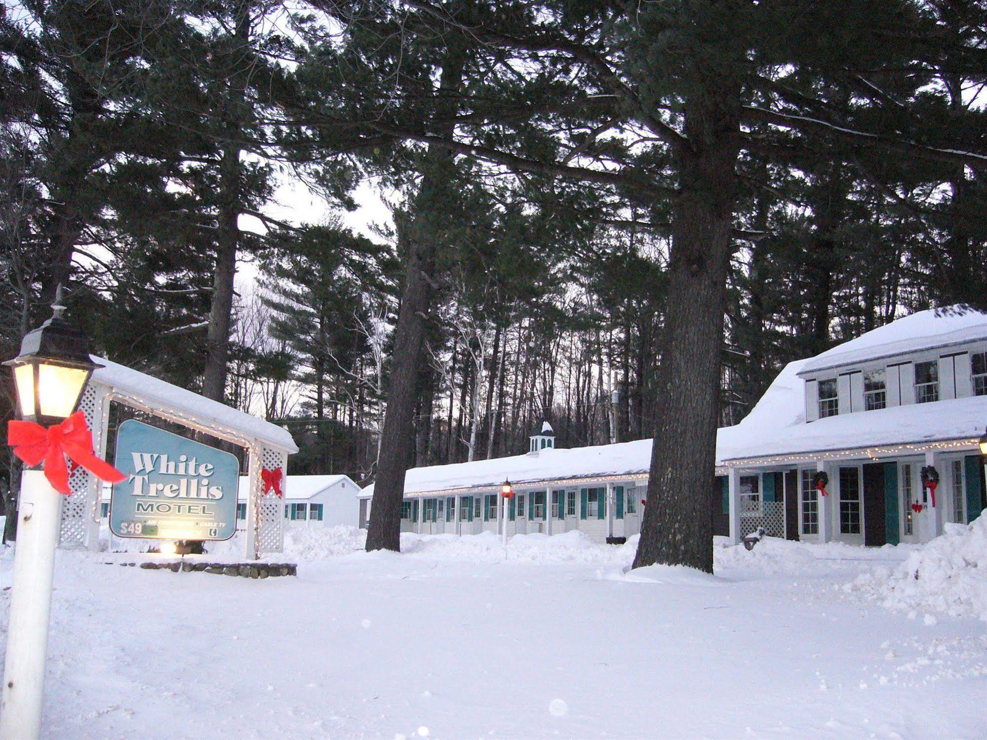 נורת' קונוויי White Trellis Motel מראה חיצוני תמונה